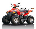   Stels ATV 110 D