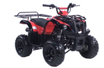   IRBIS ATV 110U