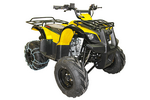   IRBIS ATV 125UM