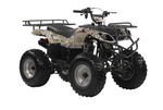   IRBIS ATV 200U