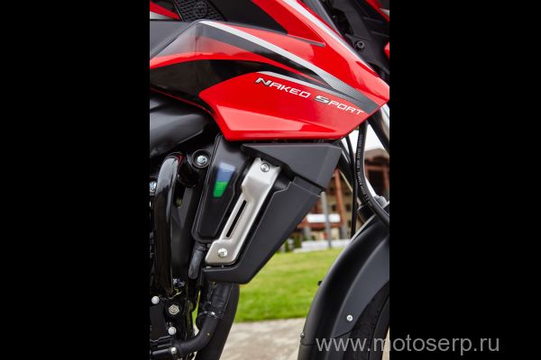  BAJAJ Pulsar 200NS (  200)  2017; 199,5cc; 4-; 6 ; 23,52 /!, 4 ; , ; 3   !