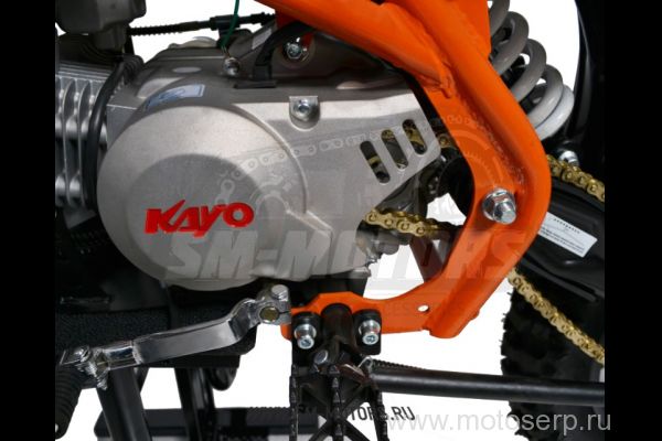  KAYO BASIC YX170 LIMITED EDITION  1 ,, 4- ,, -, ,,  / 17/14 L (2015 ,) (),