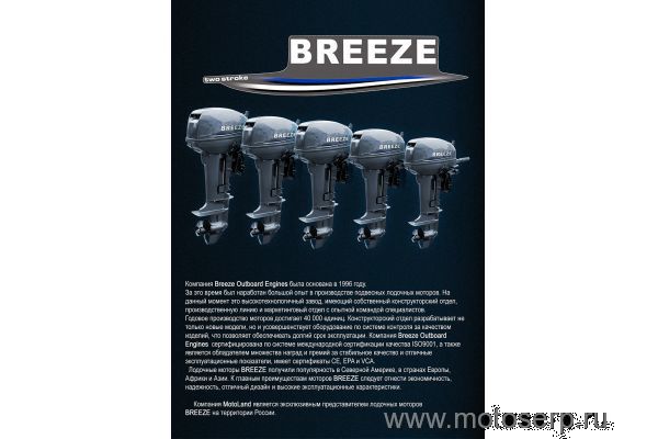     Motoland BREEZE T9,8S (2- )  ()