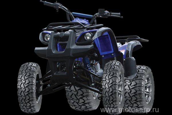 ,50/125cc  AVANTIS HUNTER 8 ( 8) , 24,  8", , ,   ,  /,() (),