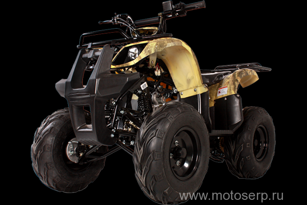 ,50/125cc  AVANTIS HUNTER 8 ( 8) , 24,  8", , ,   ,  /,() (),