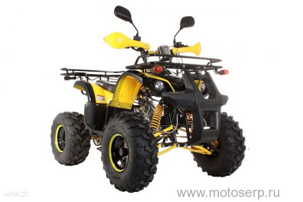 ,50/125cc  AVANTIS HUNTER 8 ( 8) , 24,  8", , ,   ,  /,() (),