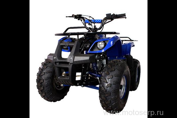 ,50/125cc  AVANTIS HUNTER 8" ( 8) , 24, 4,  8", , ,   , () (),