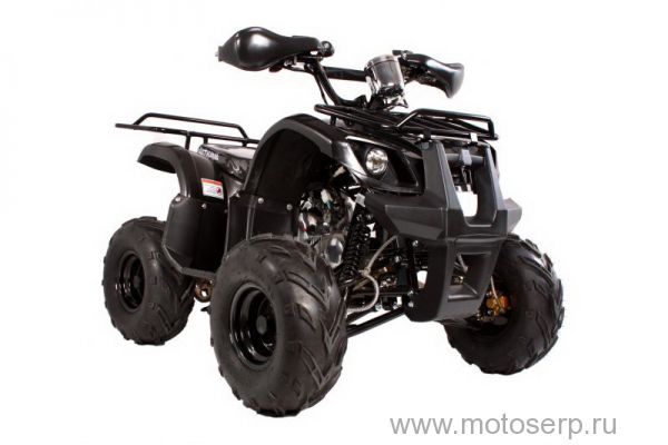 ,50/125cc  AVANTIS HUNTER 8" ( 8) , 24, 4,  8", , ,   , () (),