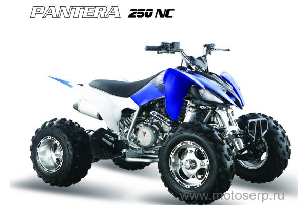 250cc  MM PANTERA 250 SUPER SPORT 250 cc,, Zongshen NC   4 +  (), 4 , /,, 26 ,!!! 21"/19" ()