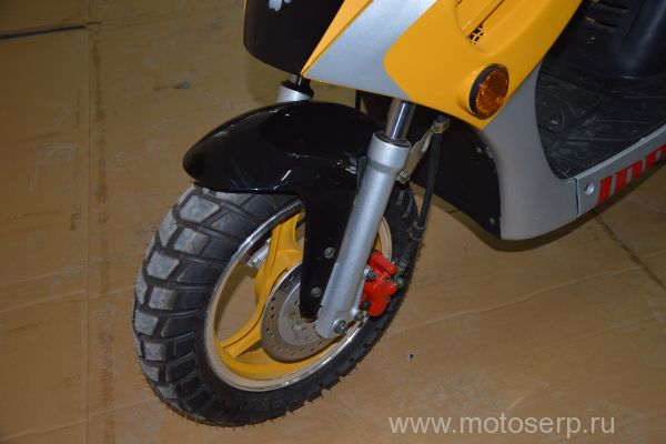  IRBIS Z50R /Gryphon Racer 50 4; 50cc; ,12;  ,;   ; 