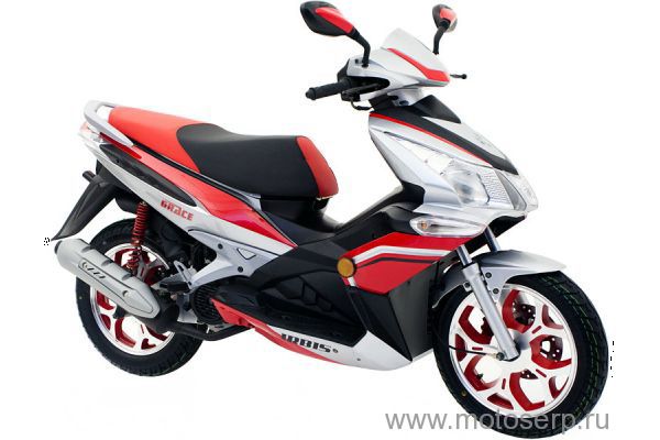  IRBIS Grace 150 () /  Matador Jet 150 ( 150) 4, 150cc; ,14" (2 ,) , , ; 