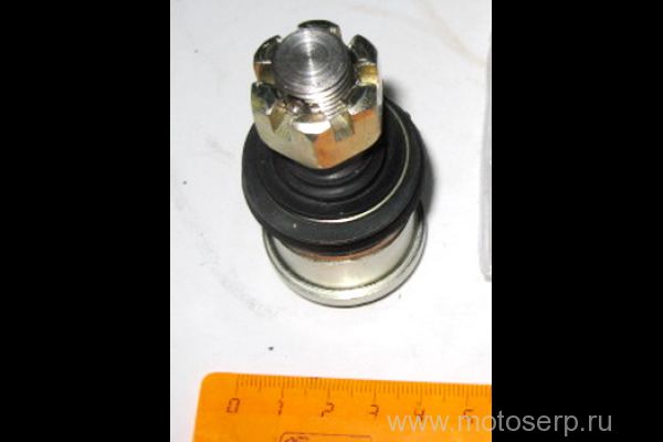   ATV150, K150 (?16,5 * ? 14,5*17) ()  (IR 4620757432631