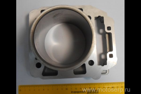   CF X8  1 () (CF 0800-023100-0001