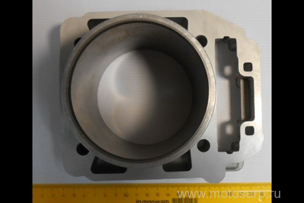   CF X8  2 () (CF 0800-023100-0002