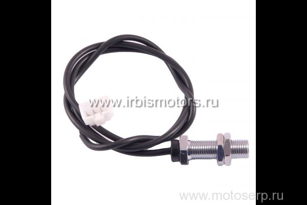  ()  Irbis TTR125; TTR250-1  ()  (IR 4620761962520