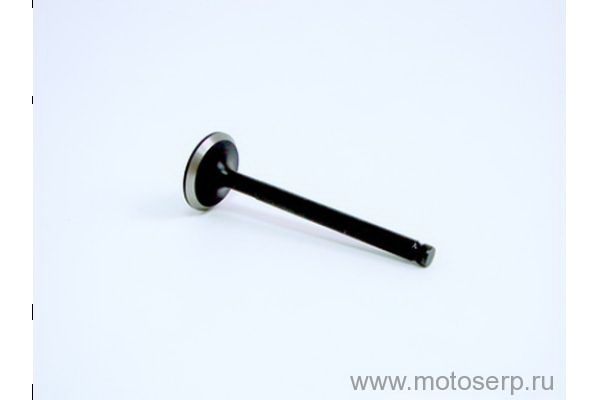  139QMB  D=16mm d=5mm L=64mm R50, Storm, Basic  , ()
