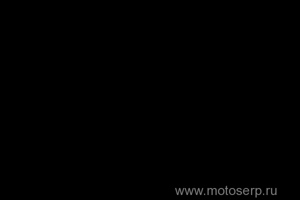  /    () (IR 4602009045639 (
