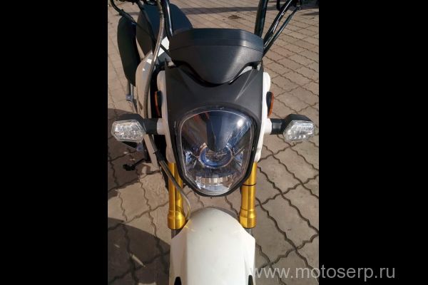  Motoland MX 125  125cc,  4, /, 12"/12 , () () (ML 5486