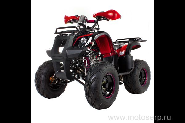 ,50/125cc  AVANTIS HUNTER 8+ ATV-050G-8+ ( 8+) , 24,  8", , ,   ,   ()