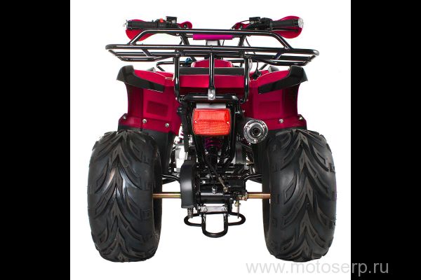 ,50/125cc  AVANTIS HUNTER 8+ ATV-050G-8+ ( 8+) , 24,  8", , ,   ,   ()