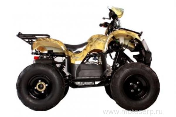 ,50/125cc  AVANTIS HUNTER 8+ ATV-050G-8+ ( 8+) , 24,  8", , ,   ,   ()