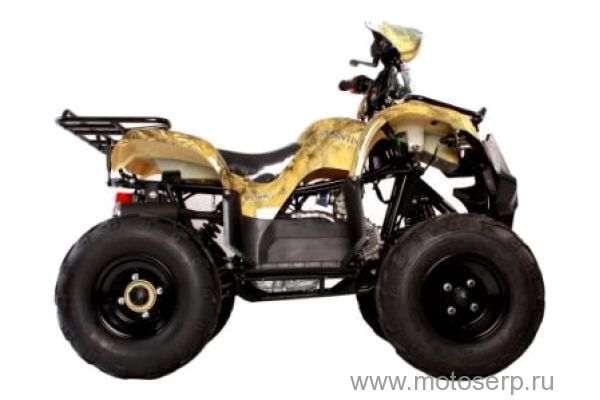 ,50/125cc  AVANTIS HUNTER 8+ ATV-050G-8+ ( 8+) , 24,  8", , ,   ,   ()