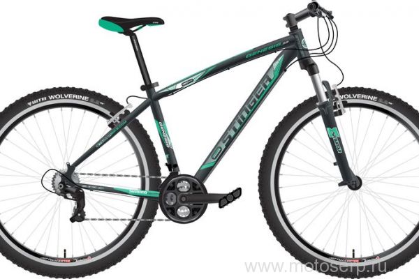 Stinger Genesis 29"  , 24 ,, V-Brake