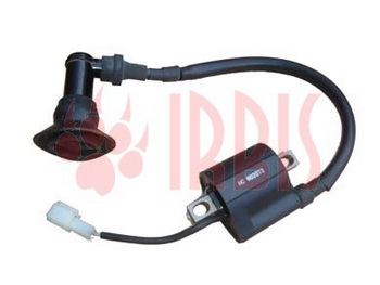    () , Delta, Yamaha ZY-125 , R50, Storm, Basic, Yamasaki   () (IR 4620753543485 (R1 ( (YM 62421