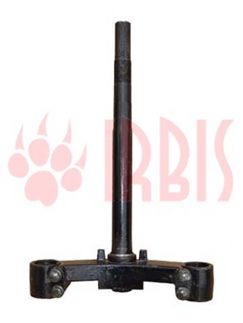   (  ,) (d-30, l-200, L-385) Irbis Z50R ()  (IR 4620753538467