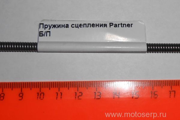   Partner /