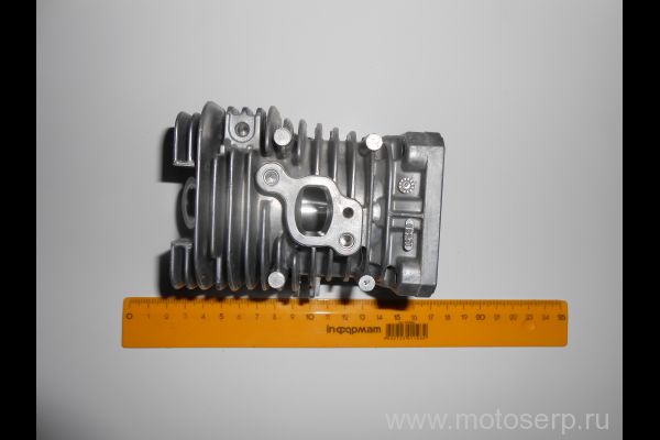   Partner / d41; ALL  (MT P-1118