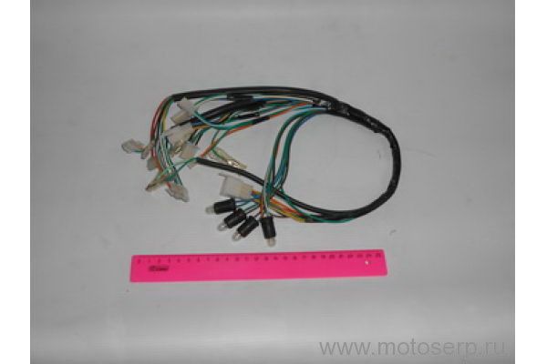    Sting City ()  (VM HN50QT-1A-150100