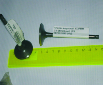  172FMM  D=34mm d=6mm, L=94mm ZS-250GS, Stels ATV250()  (ZS 15701-L067-0000