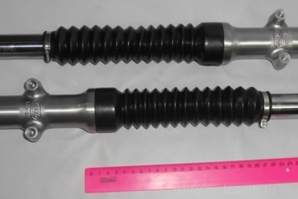   (, ) d-31  Cobra 125, YM Leader 50,    ()  (MM 19379 (MM 19380