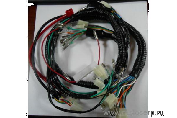   YM Scorpion ()  (YM 58902