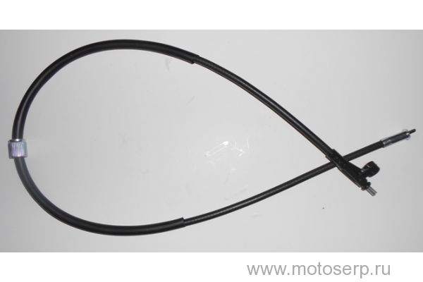 , YM Scorpion ()  (YM 58906