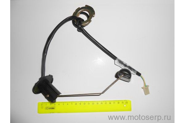    Patron Sport250 ()  (PN