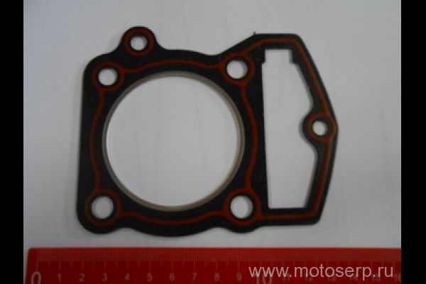   169YMM Patron Sport250 ()
