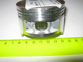 8-0009498