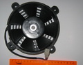 8-0009813