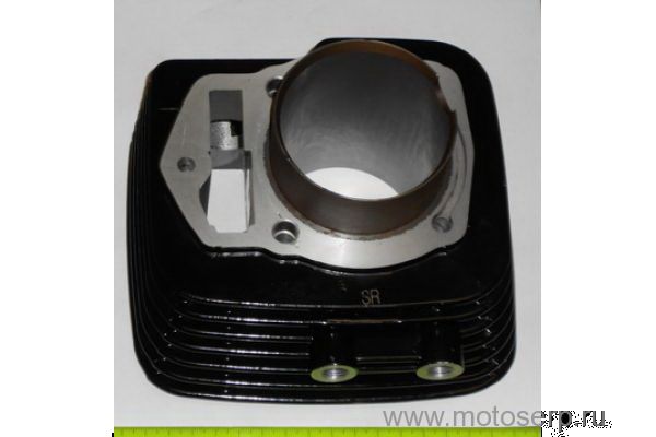   169YMM  250cc d69; , , Patron Sport 250 ()  (PN 8583
