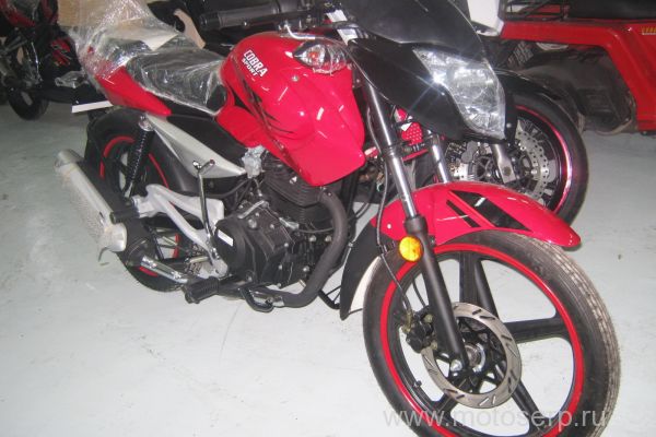   COBRA-125 Crossfire SPORT (  ) CXM125 125cc, 4; 18"; 5 , ,, , ,  ,