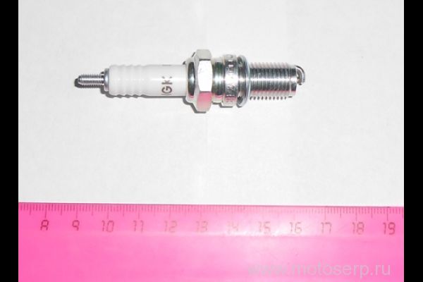   ( 8) NGK DR8EA  4 250cc () (R1